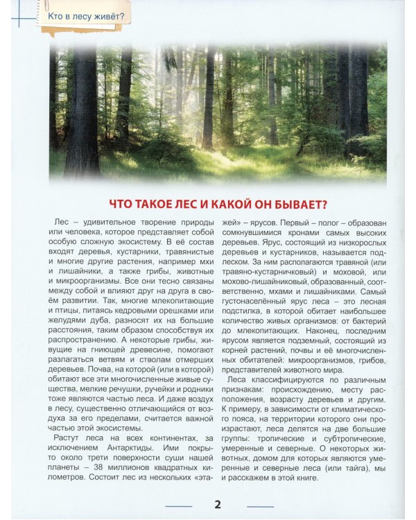 Кто в лесу живет?
