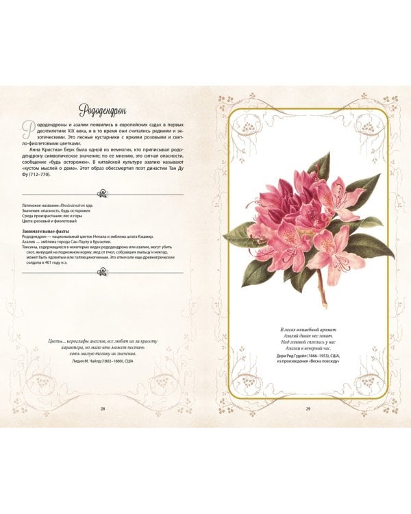 Тайный язык цветов