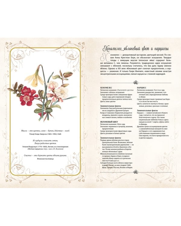 Тайный язык цветов