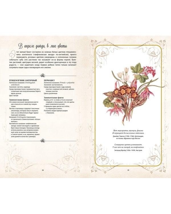 Тайный язык цветов