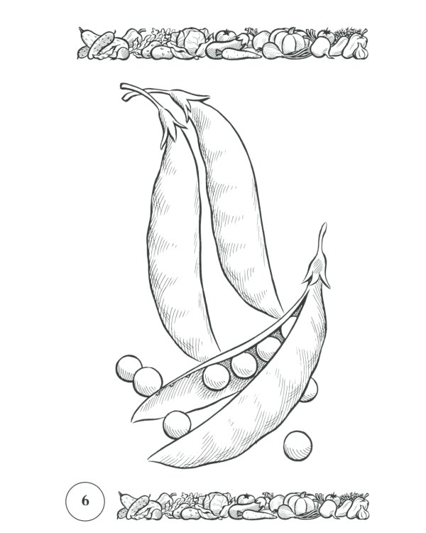 Стихи и речевые упражнения по теме "Овощи". Развитие логического мышления и речи у детей