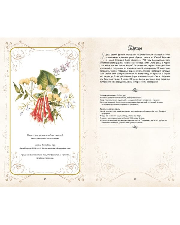 Тайный язык цветов