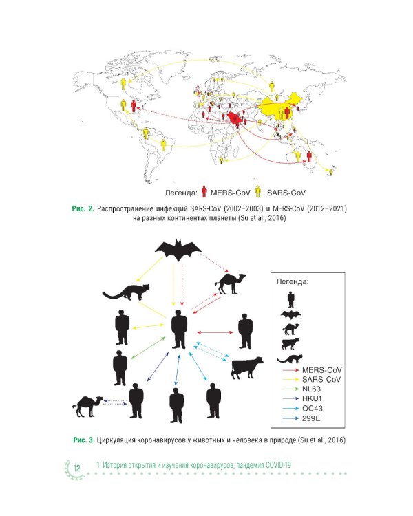 Коронавирусная инфекция COVID-19: факты и комментарии: руководство для врачей