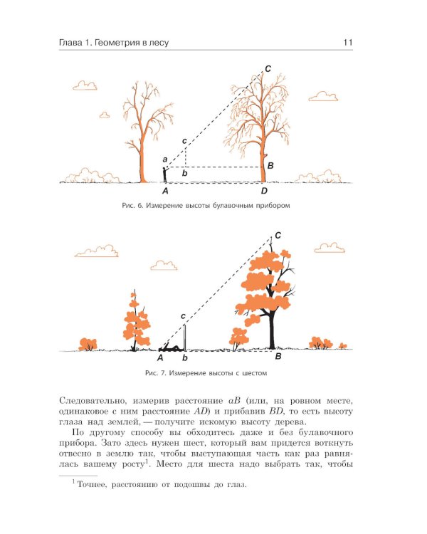 Занимательная геометрия на вольном воздухе