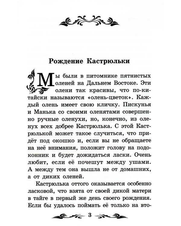 Птицы под снегом