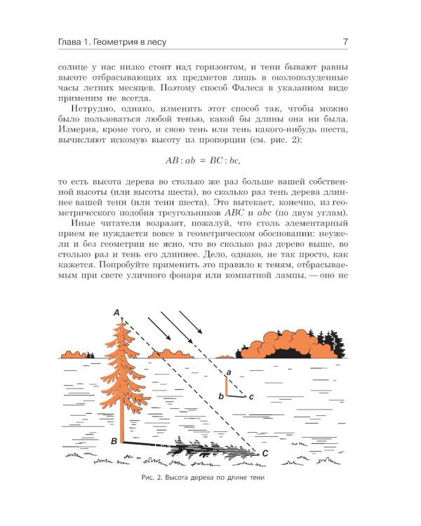 Занимательная геометрия на вольном воздухе