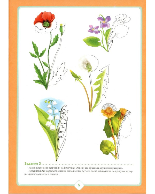 Добро пожаловать в экологию! Рабочая тетрадь для детей 4-5 лет. В 2 ч. Средняя группа (комплект из 2-х книг)