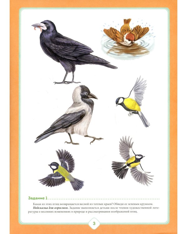 Добро пожаловать в экологию! Рабочая тетрадь для детей 4-5 лет. В 2 ч. Средняя группа (комплект из 2-х книг)