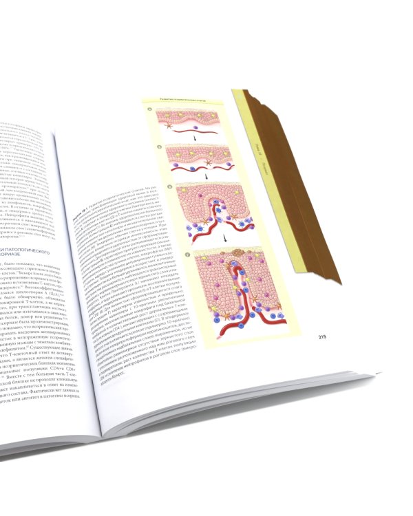 Дерматология Фицпатрика в клинической практике: Т. 1: в 2-х ч., Т. 3 (комплект из 3-х частей)