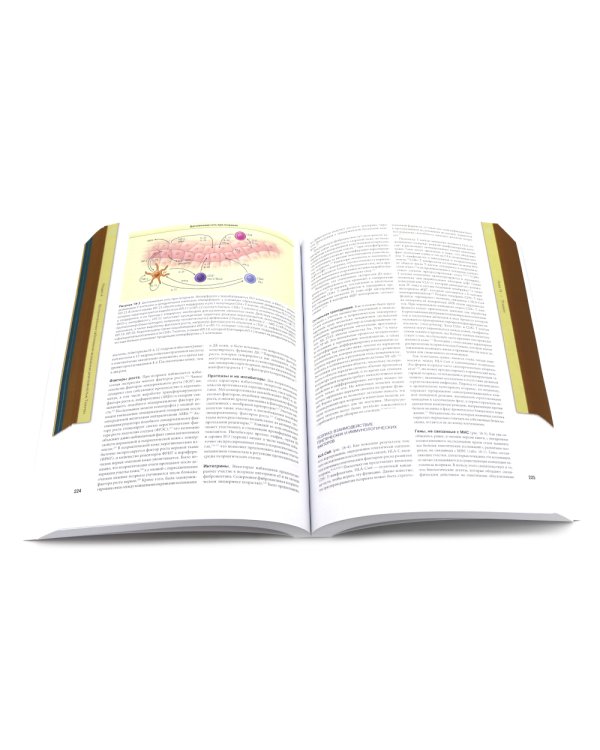 Дерматология Фицпатрика в клинической практике: Т. 1: в 2-х ч., Т. 3 (комплект из 3-х частей)