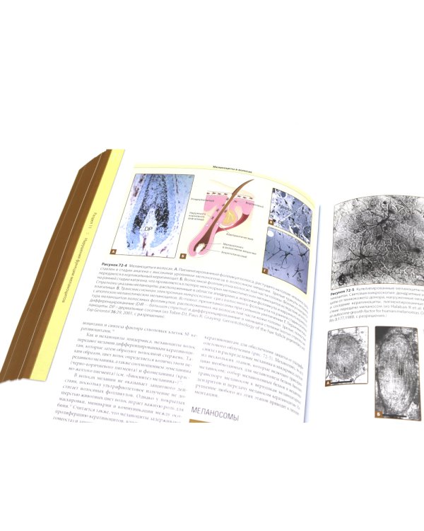 Дерматология Фицпатрика в клинической практике: Т. 1: в 2-х ч., Т. 3 (комплект из 3-х частей)