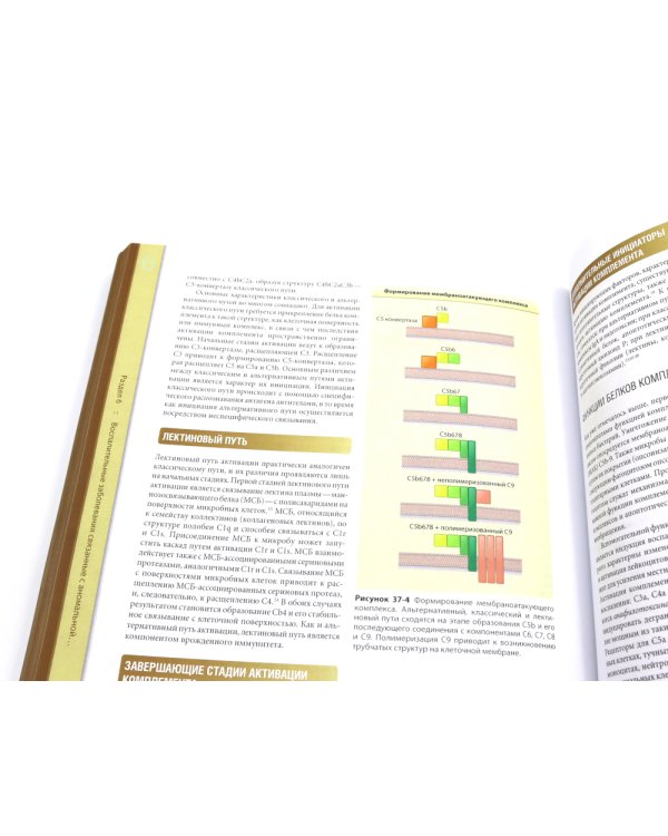 Дерматология Фицпатрика в клинической практике: Т. 1: в 2-х ч., Т. 3 (комплект из 3-х частей)
