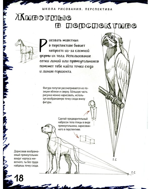 Школа рисования. Перспектива 