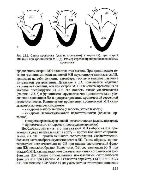 Практикум по клинической эхокардиографии: руководство для врачей