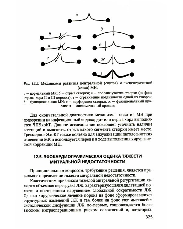 Практикум по клинической эхокардиографии: руководство для врачей
