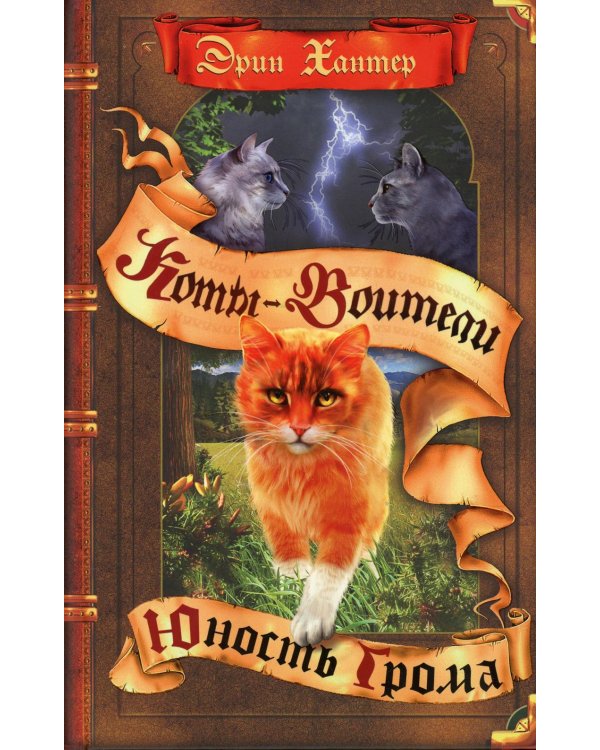 Коты-воители. Юность Грома