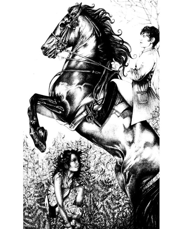 A Pocketful of Crows