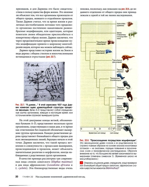 Биология Campbell. В 3 т. Т. 2. Механизмы эволюции. Эволюция и биоразнообразие. Растительные формы жизни