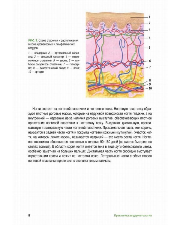 Практическая дерматология