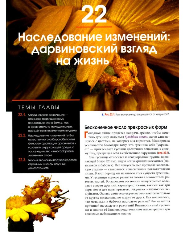 Биология Campbell. В 3 т. Т. 2. Механизмы эволюции. Эволюция и биоразнообразие. Растительные формы жизни