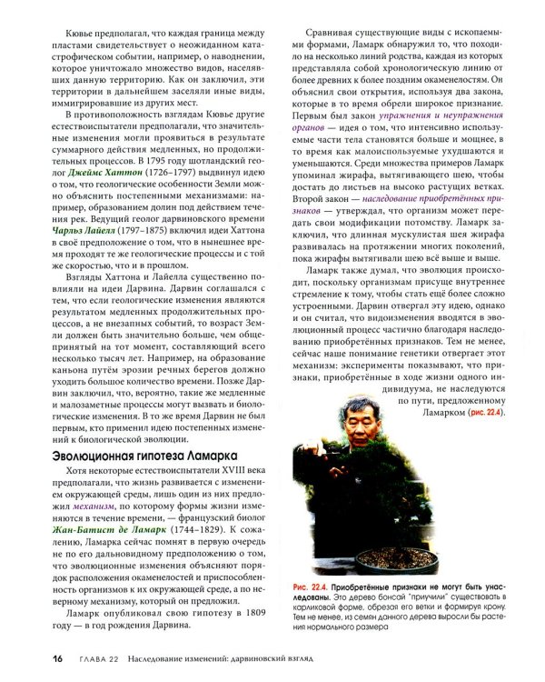 Биология Campbell. В 3 т. Т. 2. Механизмы эволюции. Эволюция и биоразнообразие. Растительные формы жизни