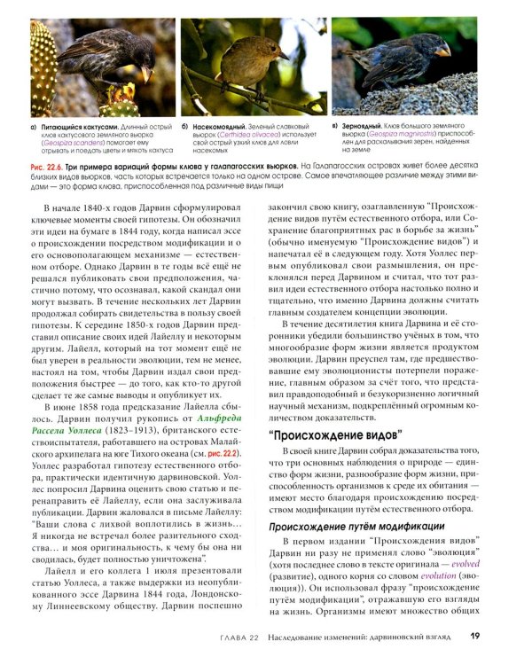 Биология Campbell. В 3 т. Т. 2. Механизмы эволюции. Эволюция и биоразнообразие. Растительные формы жизни