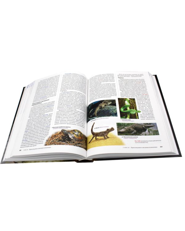 Биология Campbell. В 3 т. Т. 2. Механизмы эволюции. Эволюция и биоразнообразие. Растительные формы жизни