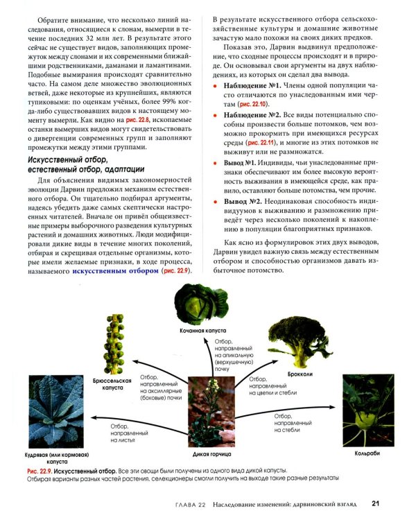 Биология Campbell. В 3 т. Т. 2. Механизмы эволюции. Эволюция и биоразнообразие. Растительные формы жизни