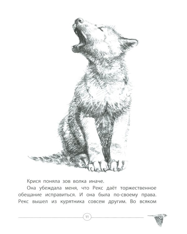 Ручные люди: рассказы