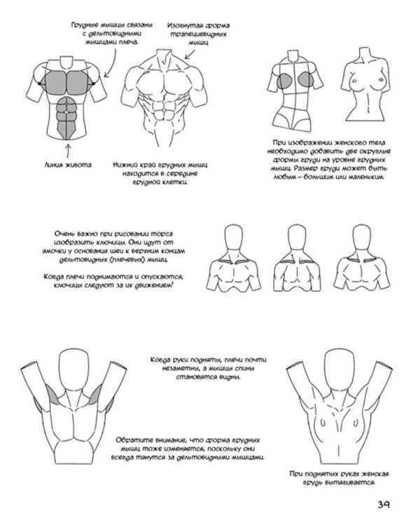 Манга. Простые уроки для начинающих