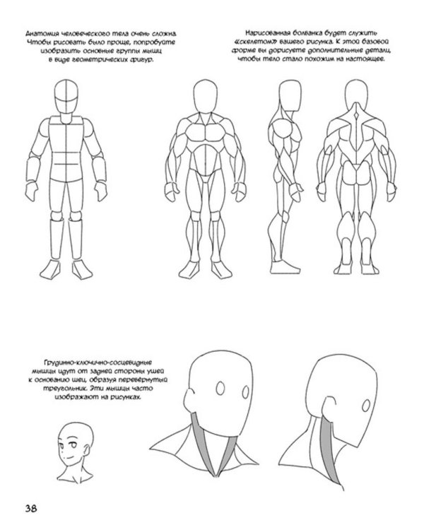 Манга. Простые уроки для начинающих