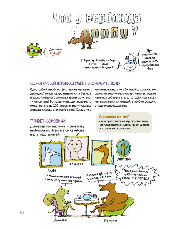 Наука не скука