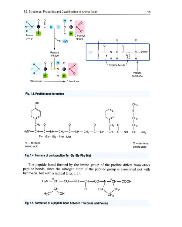 Essential Biochemistry for Medical Students with Problem-Solving Exercises. Textbook