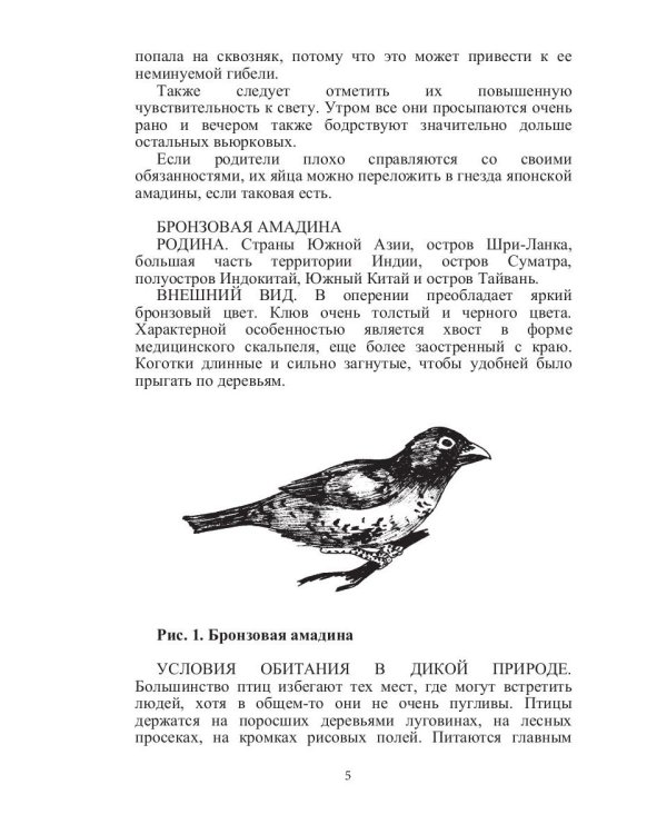 Певчие птицы