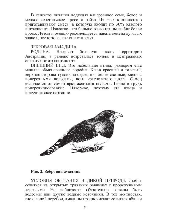 Певчие птицы