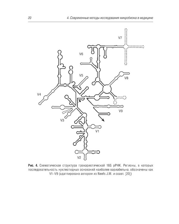 Микробиом в медицине: руководство для врачей