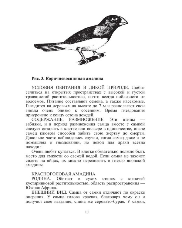 Певчие птицы