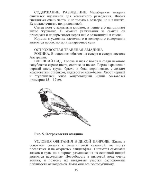 Певчие птицы