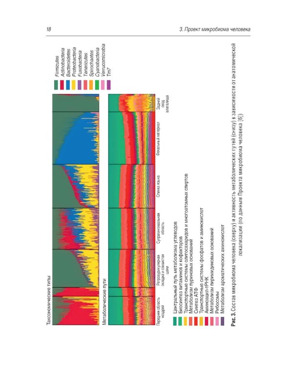 Микробиом в медицине: руководство для врачей