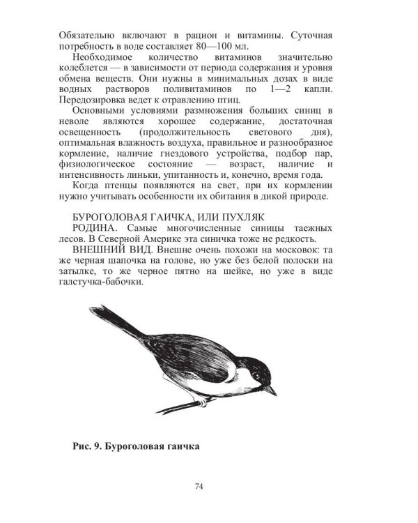 Певчие птицы