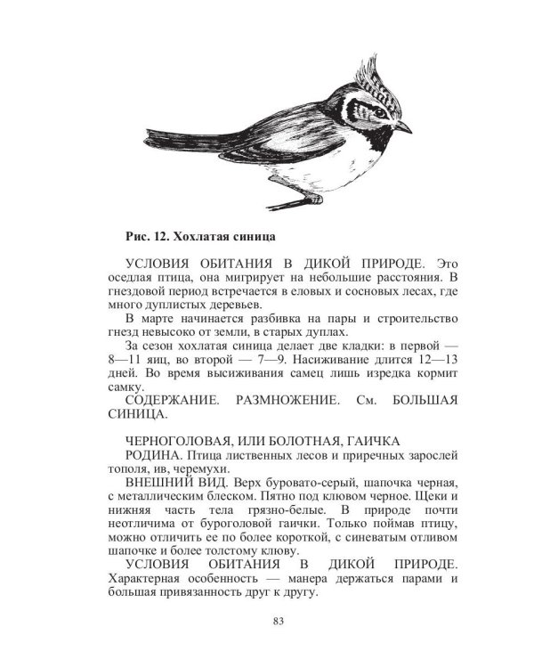 Певчие птицы