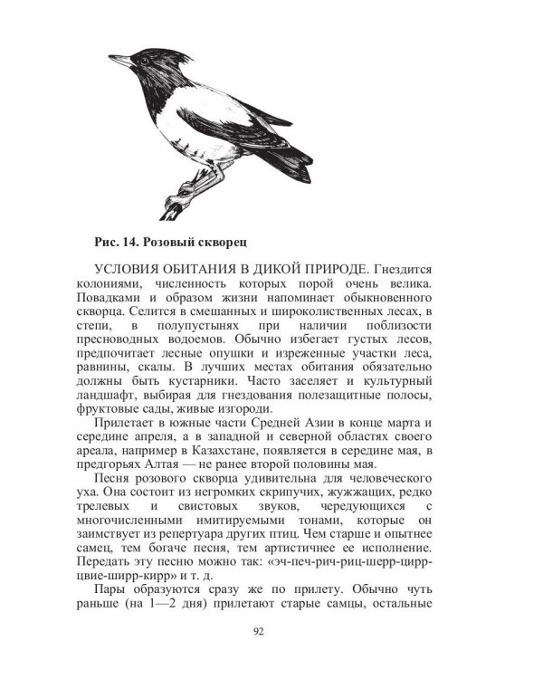 Певчие птицы