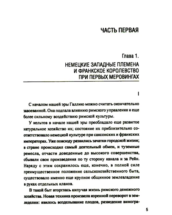 История германского народа. От Меровингов до возникновения немецкого государства