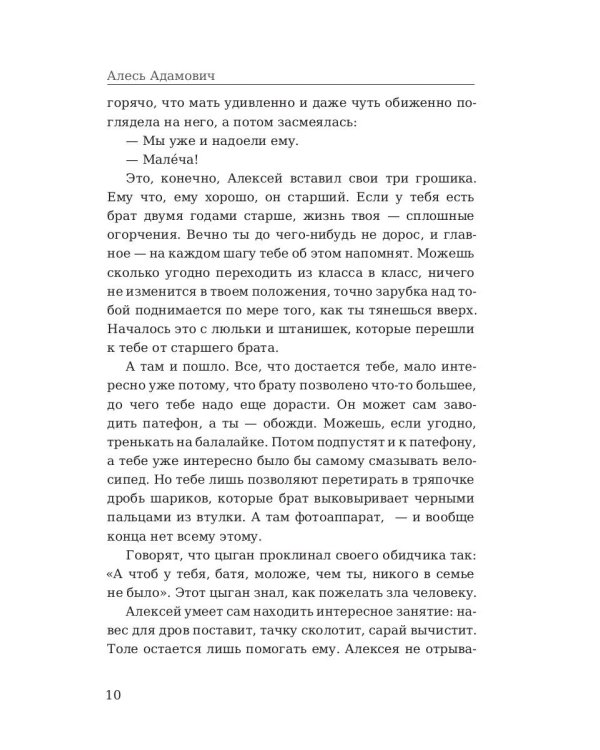 Партизаны. Война под крышами