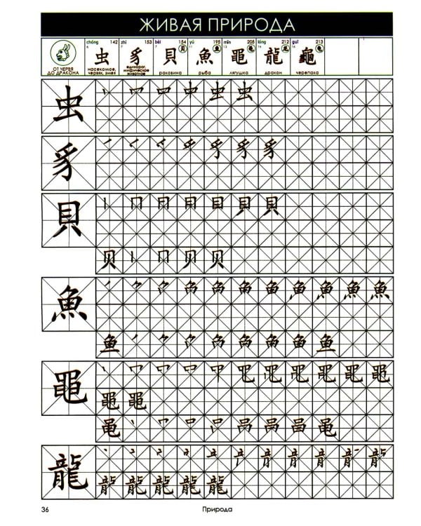 Учи ключи. Изучаем, запоминаем, пишем и играем. 214 ключей китайских иероглифов: рабочая тетрадь