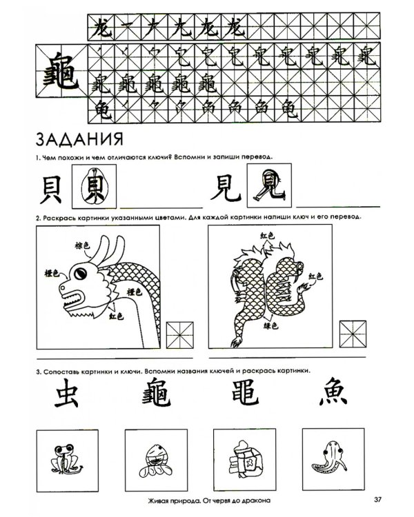 Учи ключи. Изучаем, запоминаем, пишем и играем. 214 ключей китайских иероглифов: рабочая тетрадь