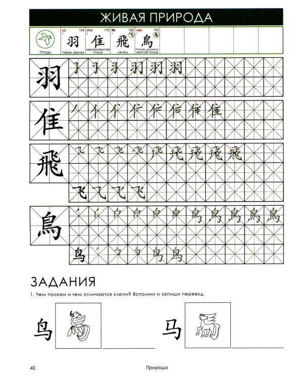 Учи ключи. Изучаем, запоминаем, пишем и играем. 214 ключей китайских иероглифов: рабочая тетрадь