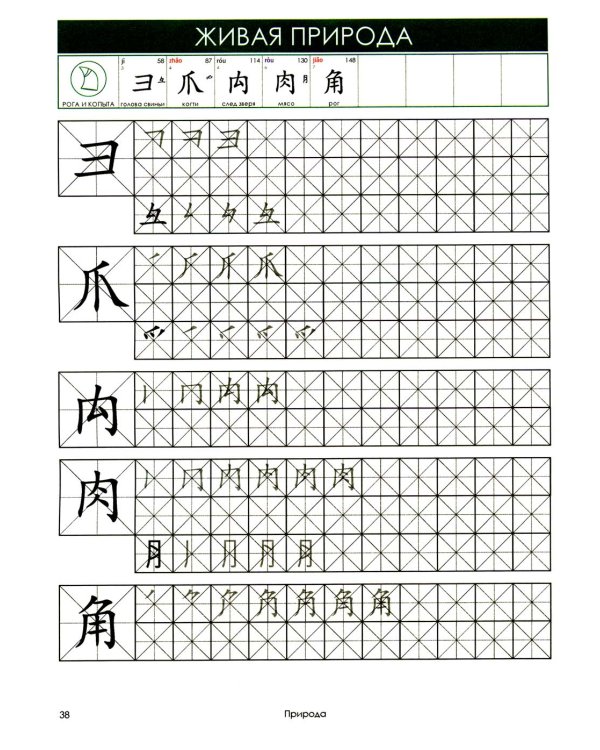 Учи ключи. Изучаем, запоминаем, пишем и играем. 214 ключей китайских иероглифов: рабочая тетрадь