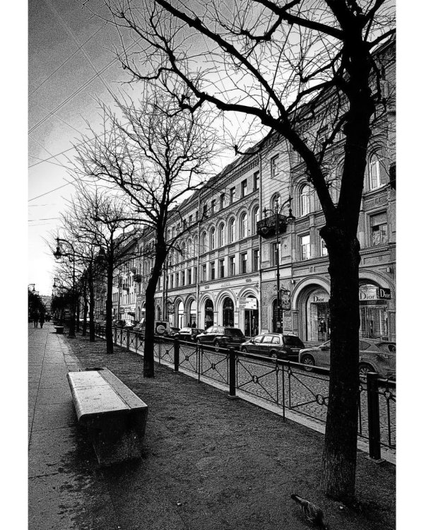 Тургенев в Петербурге