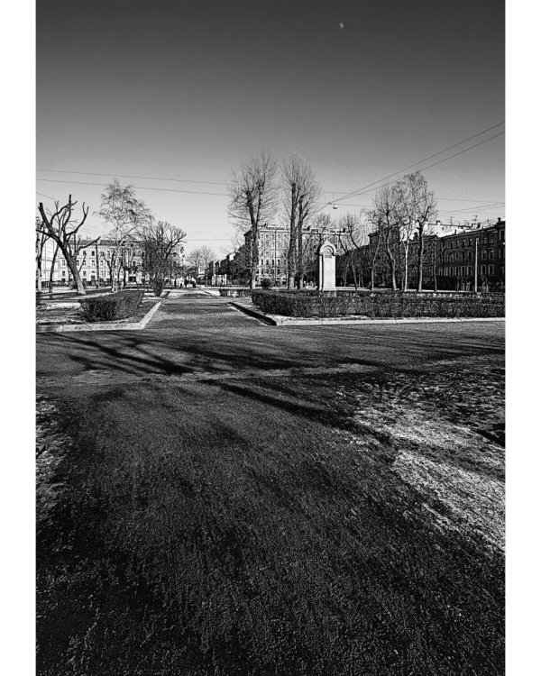 Тургенев в Петербурге